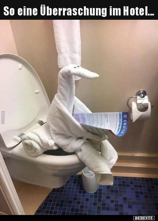 So eine Überraschung im Hotel... Lustige Bilder, Sprüche, Witze, echt lustig
