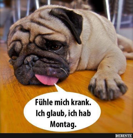 Fühle mich krank. Ich glaub, ich hab Montag.. Lustige Bilder, Sprüche