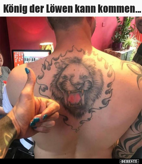 Konig Der Lowen Kann Kommen Lustige Bilder Spruche Witze Echt Lustig