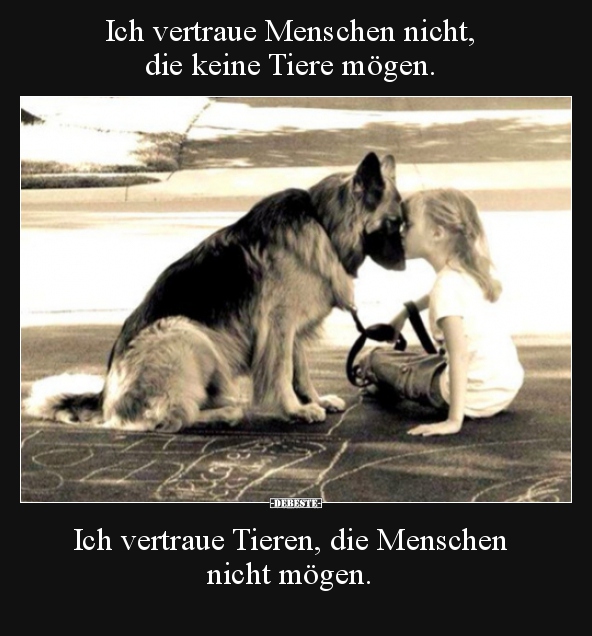 Ich vertraue Menschen nicht, die keine Tiere mögen... Lustige Bilder