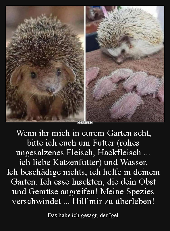 Wenn ihr mich in eurem Garten seht, bitte ich euch um.. Lustige