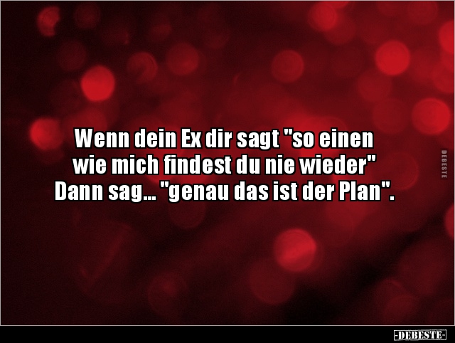 Wenn dein Ex dir sagt "so einen wie mich findest du.." Lustige Bilder, Sprüche, Witze, echt lustig