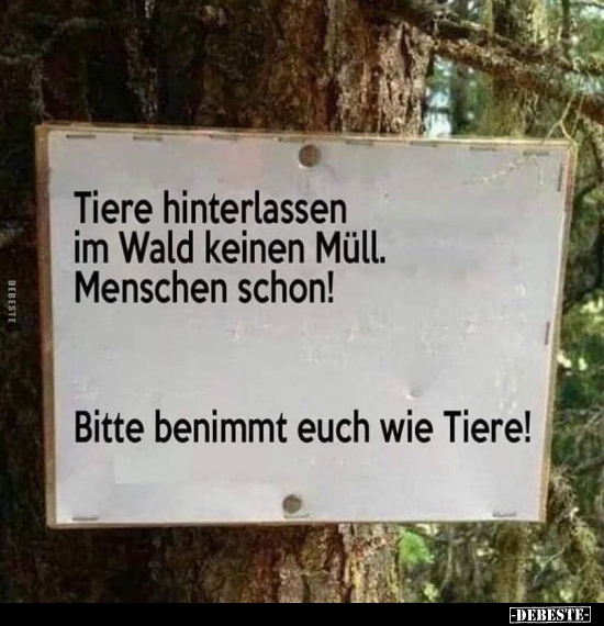 Tiere hinterlassen im Wald keinen Müll Menschen schon!.. Lustige