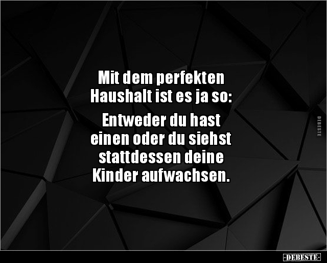 Mit dem perfekten Haushalt ist es ja so.. Lustige Bilder, Sprüche