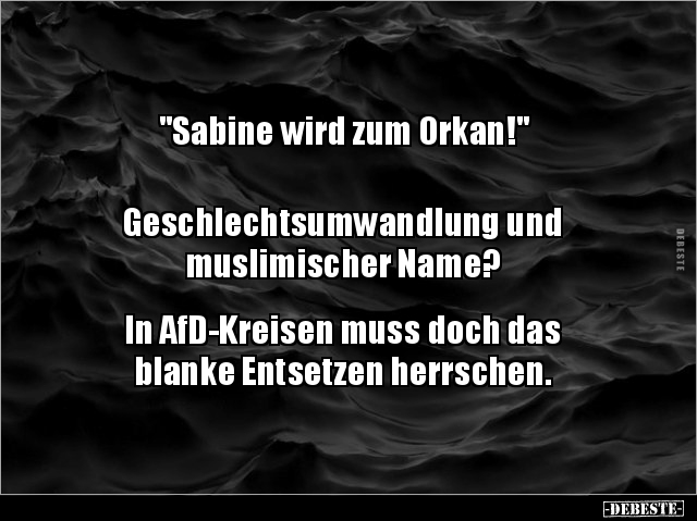 Sabine Wird Zum Orkan!" Geschlechtsumwandlung Und.. | Lustige Bilder, Sprüche, Witze, Echt Lustig 479_x_640_jpg