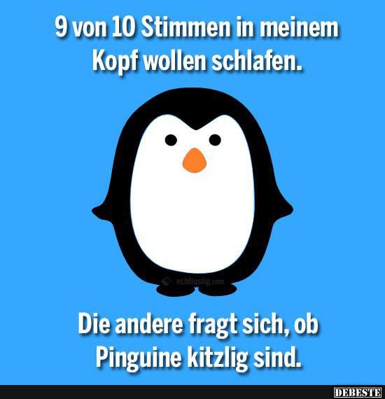 9 von 10 Stimmen in meinem Kopf wollen schlafen Lustige Bilder