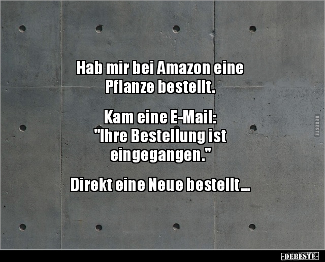 Hab mir bei Amazon eine Pflanze bestellt.. Lustige Bilder, Sprüche