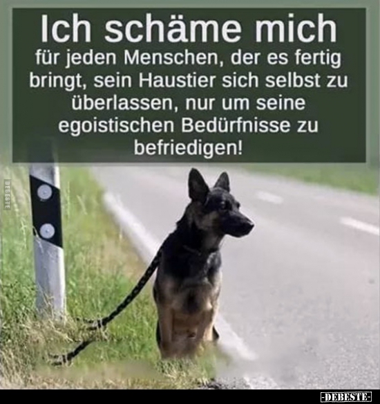 Ich schäme mich für jeden Menschen, der es fertig.. Lustige Bilder, Sprüche, Witze, echt lustig