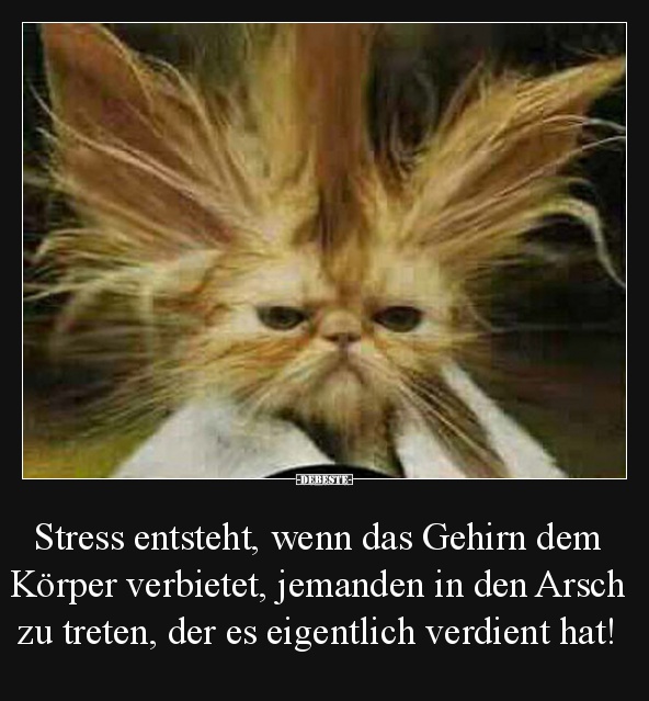Gehirn DEBESTE.de, Lustige Bilder, lustig foto
