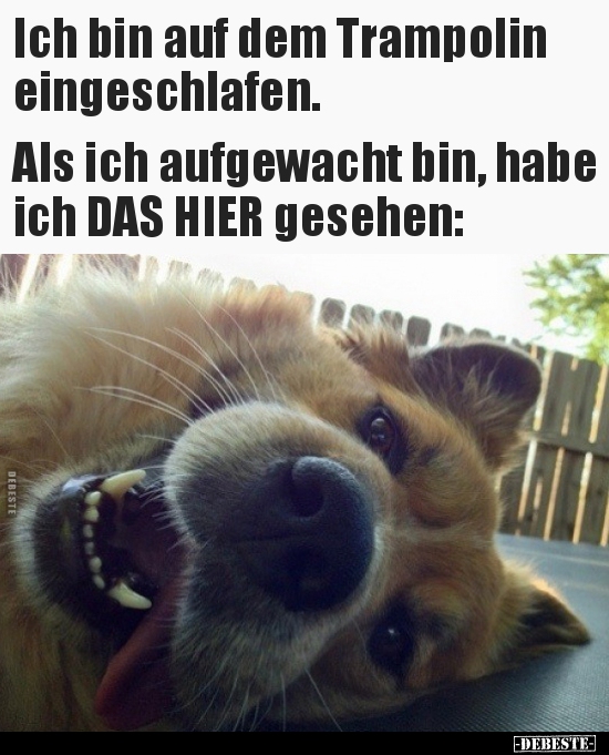 Ich bin auf dem Trampolin eingeschlafen... DEBESTE.de