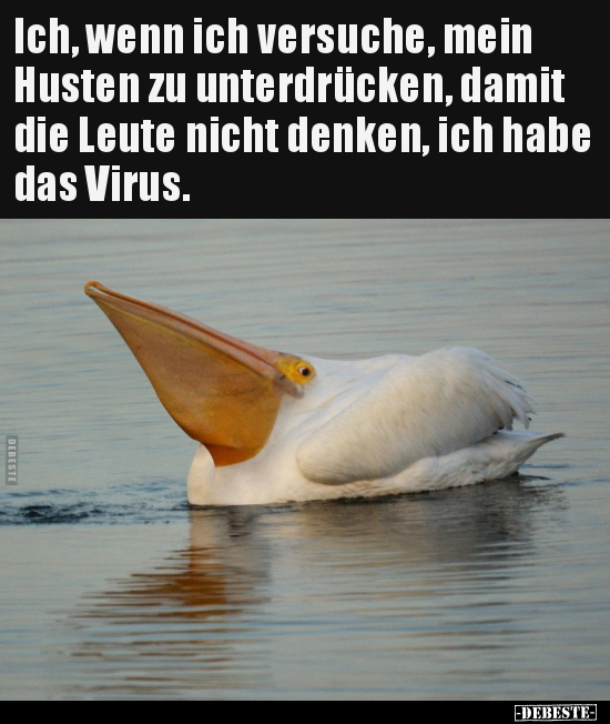 Ich, wenn ich versuche, mein Husten zu unterdrücken, damit.. Lustige Bilder, Sprüche, Witze