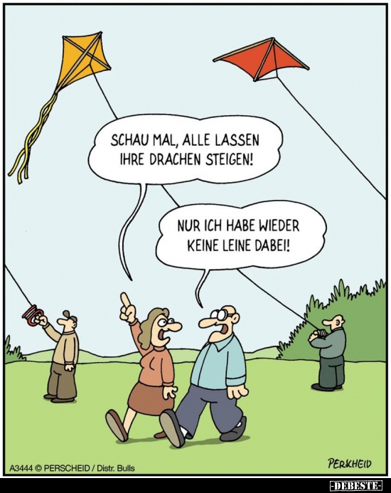 Schau mal, alle lassen ihre Drachen steigen!!.. Lustige Bilder