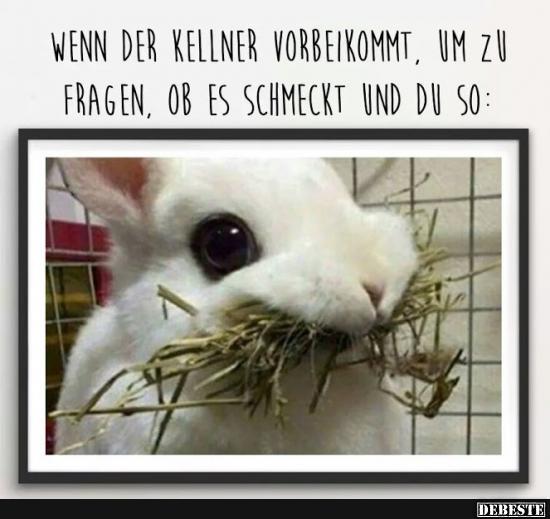 Wenn der Kellner vorbeikommt.. Lustige Bilder, Sprüche, Witze, echt