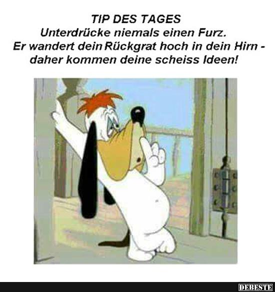 Unterdrücke niemals einen Furz.. Lustige Bilder, Sprüche, Witze, echt