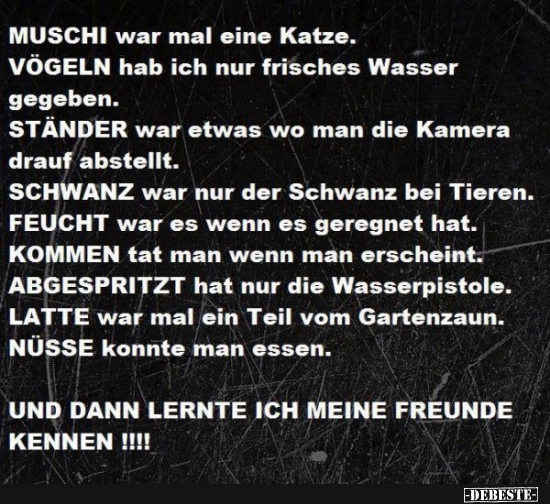 45 lustige Bilder von Muschi in 2020 Lustig, neue, DEBESTE