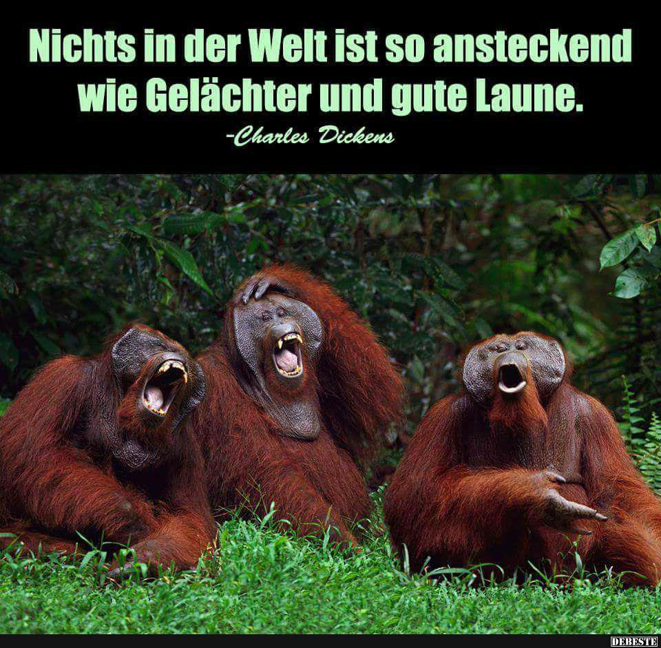 Nichts in der Welt ist so ansteckend wie Gelächter.. Lustige Bilder