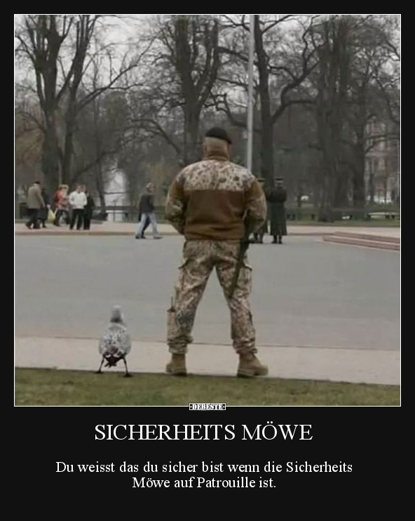Sicherheits Möwe.. Lustige Bilder, Sprüche, Witze, echt lustig