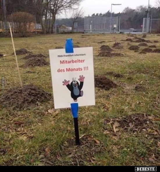 Mitarbeiter des Monats! Lustige Bilder, Sprüche, Witze, echt lustig