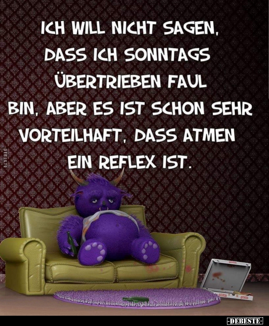 322 lustige Bilder von Sonntag in 2020 Lustig, neue, DEBESTE