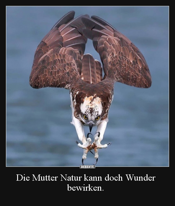 Die Mutter Natur Kann Doch Wunder Bewirken Lustige Bilder Spruche Witze Echt Lustig