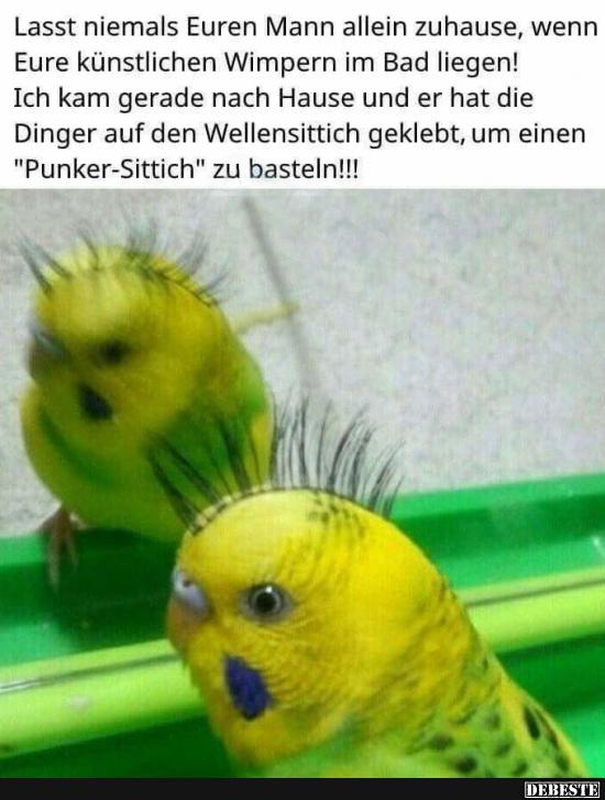 Lasst niemals Euren Mann allein zuhause.. Lustige Bilder, Sprüche, Witze, echt lustig