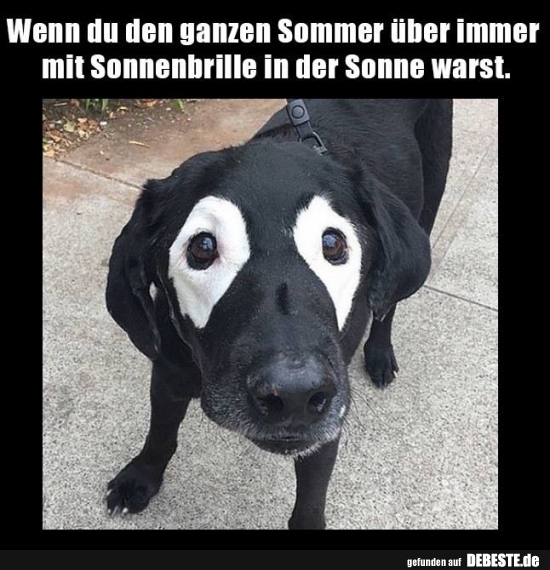 Wenn du den ganzen Sommer über immer mit Sonnenbrille in der Sonne