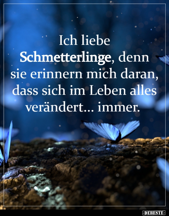 Ich Liebe Schmetterlinge Denn Sie Erinnern Mich Daran Lustige Bilder Spruche Witze Echt Lustig