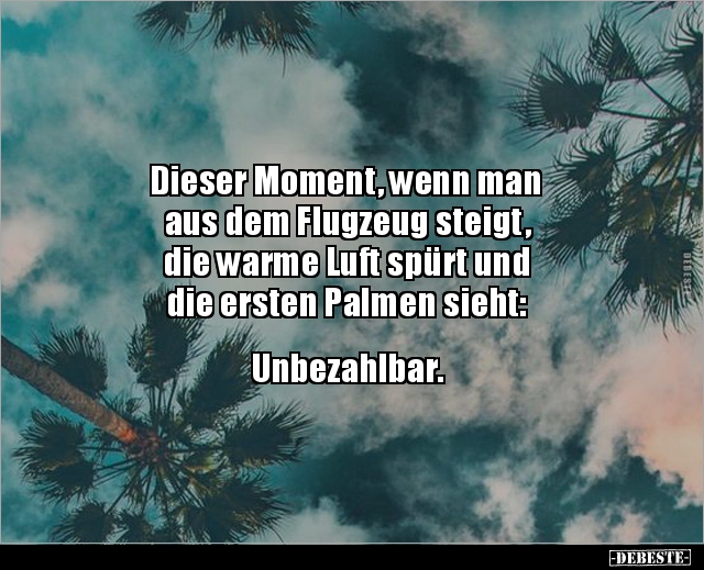 palme Witze und Sprüche DEBESTE.de