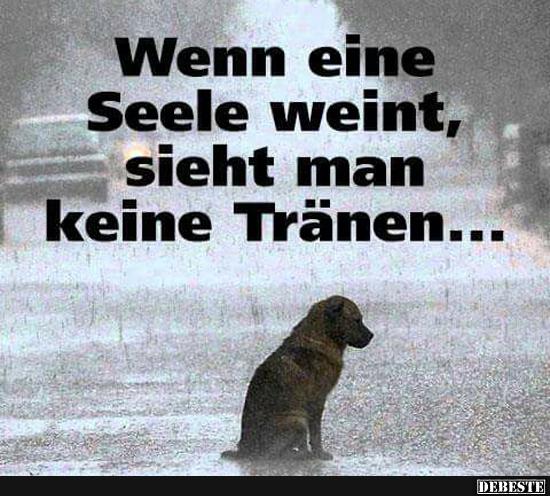 Wenn eine Seele weint, sieht man keine Tränen.. | Lustige Bilder, Sprüche, Witze, echt lustig