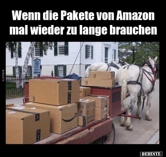 Wenn die Pakete von Amazon mal wieder zu lange brauchen.. Lustige