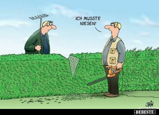 Ich musste niesen!.. Lustige Bilder, Sprüche, Witze, echt lustig