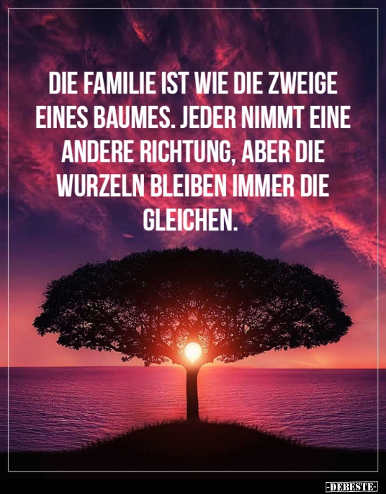 Die Familie ist wie die Zweige eines Baumes... Lustige