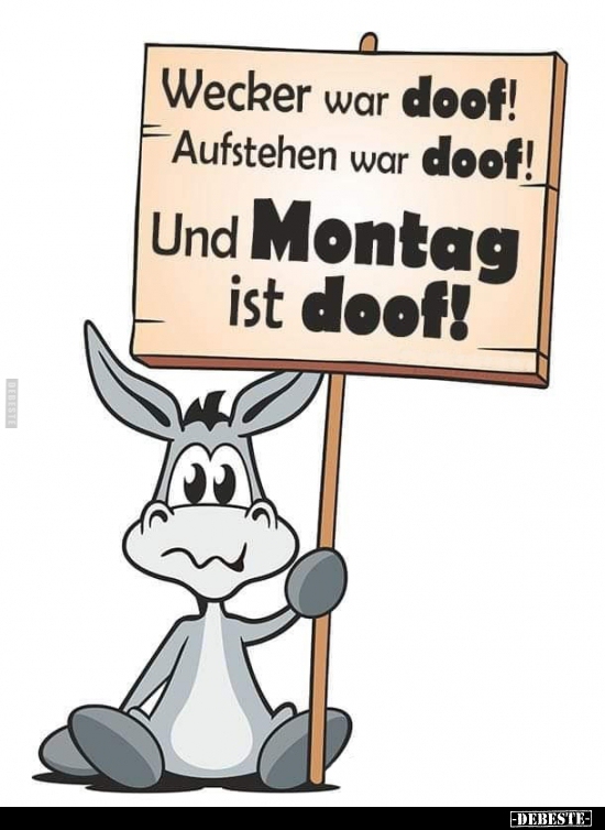 Wecker war doof! Aufstehen war doof! Und Montag ist.. Lustige Bilder, Sprüche, Witze, echt lustig