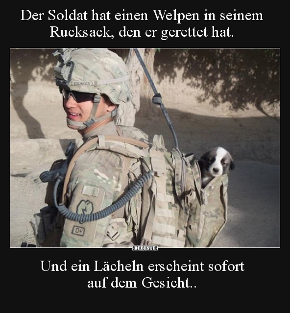 Der Soldat Hat Einen Welpen In Seinem Rucksack Den Er Lustige Bilder Spruche Witze Echt Lustig