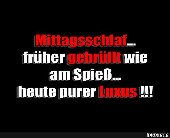 Mittagsschlaf... Lustige Bilder, Sprüche, Witze, echt lustig