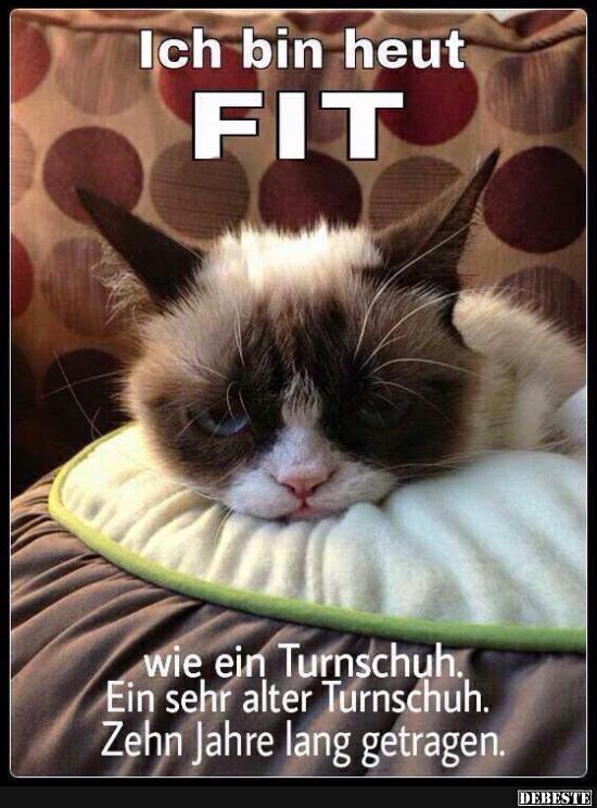 Ich bin heut FIT.. Lustige Bilder, Sprüche, Witze, echt lustig
