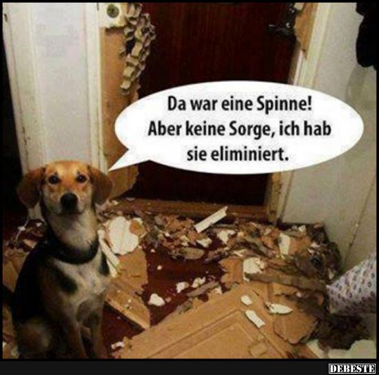 Da war eine Spinne! Aber keine Lustige Bilder, Sprüche, Witze