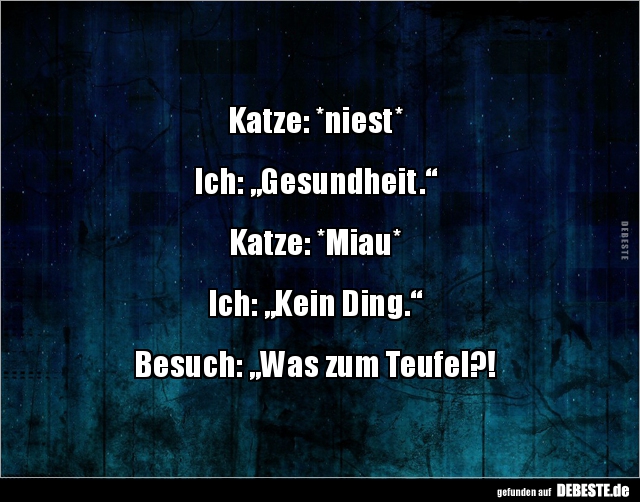Katze Niest Ich Gesundheit Lustige Bilder Spruche Witze Echt Lustig