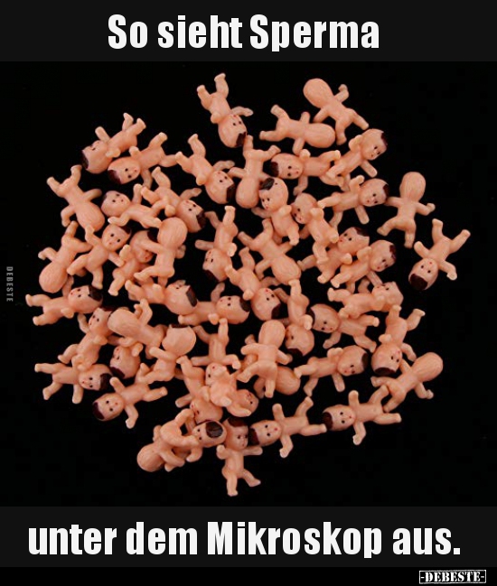 17 lustige Bilder von Mikroskop in 2021 Lustig