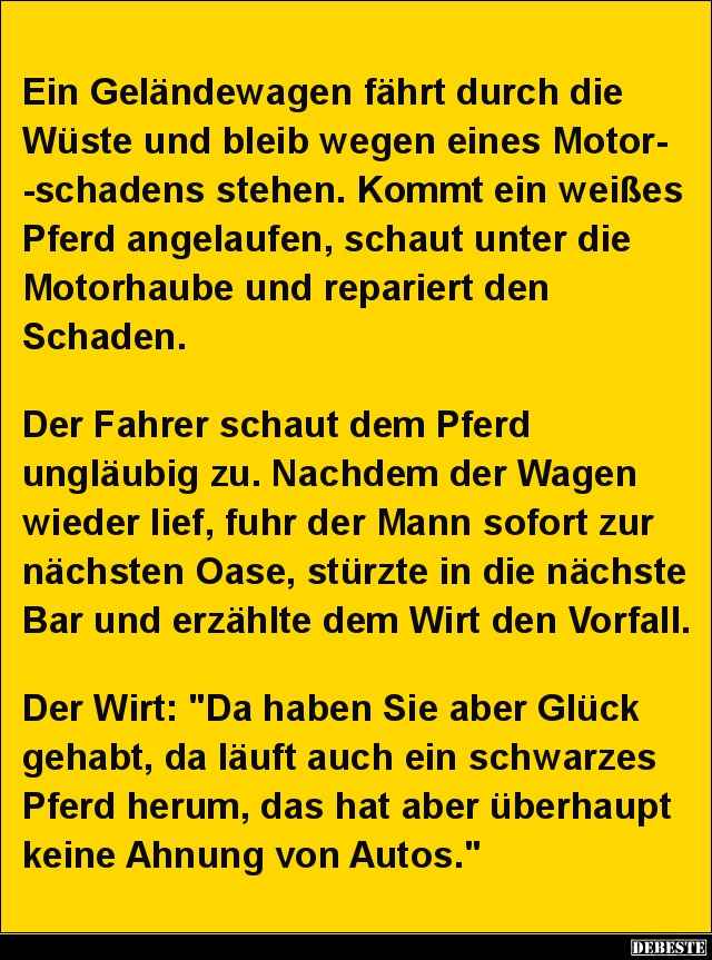 Ein Geländewagen Fährt Durch Die Wüste.. | Lustige Bilder, Sprüche, Witze, Echt Lustig 863_x_640_jpg