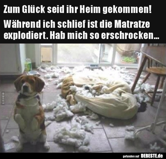 Zum Glück seid ihr Heim gekommen! Während ich schlief ist.. Lustige