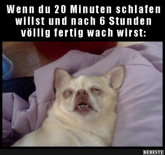 Wenn du 20 Minuten schlafen willst und nach 6 stunden.. Lustige Bilder, Sprüche, Witze, echt