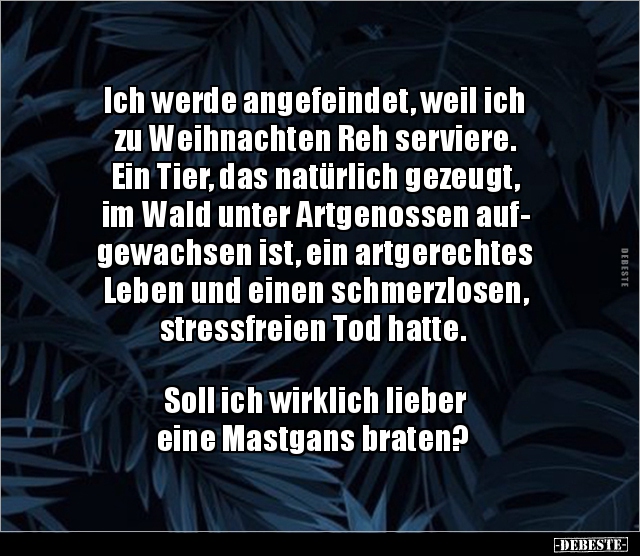 Ich werde angefeindet, weil ich zu Weihnachten Reh.. Lustige Bilder