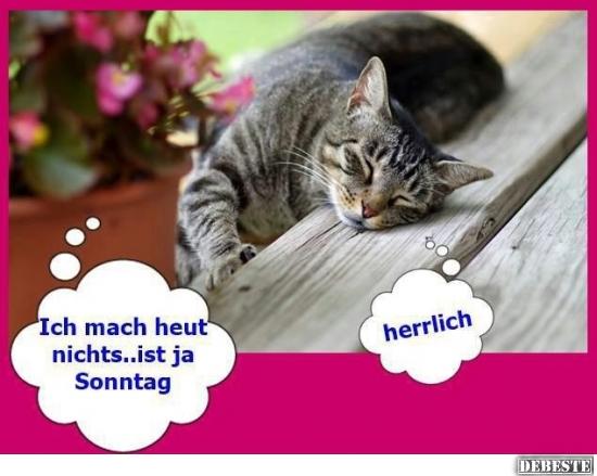 Ich mach heut nichts... ist ja Sonntag Lustige Bilder, Sprüche, Witze
