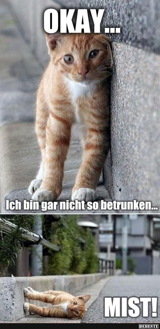OKAY... Ich bin gar nicht so betrunken.. Lustige Bilder, Sprüche