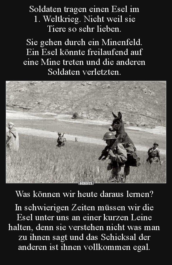 71 lustige Bilder von Soldat in 2020 Lustig, neue, DEBESTE