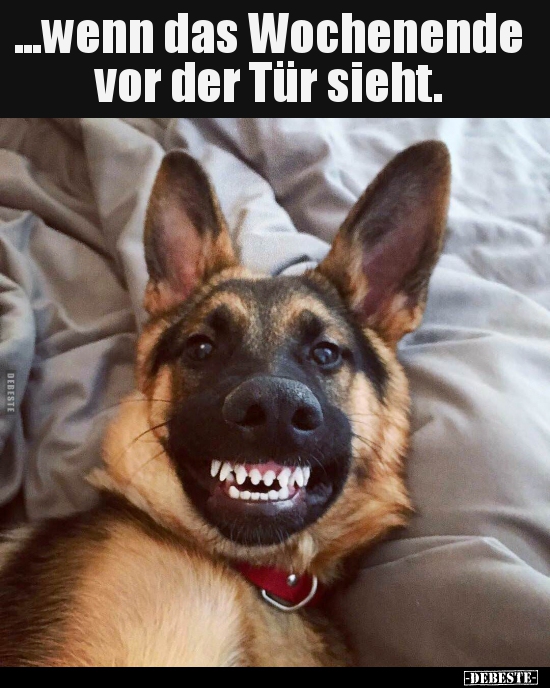 ...wenn das Wochenende vor der Tür sieht... Lustige Bilder, Sprüche, Witze, echt lustig