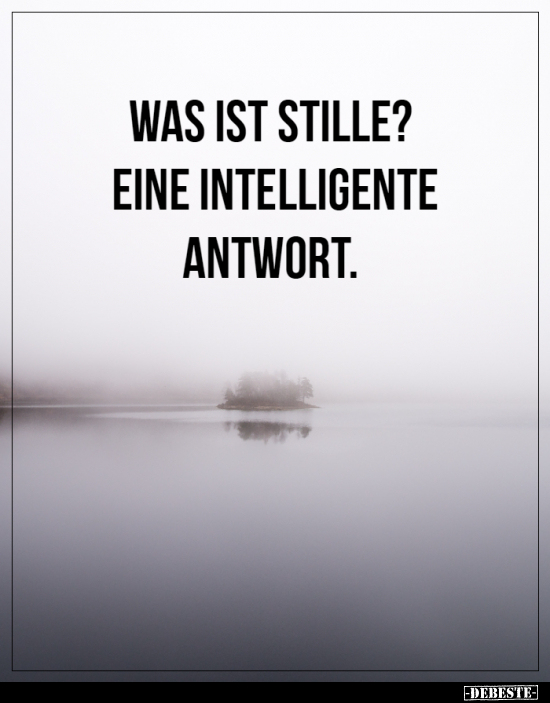Was Ist Stille? Eine Intelligente Antwort... | Lustige Bilder, Sprüche, Witze, Echt Lustig 703_x_550_png
