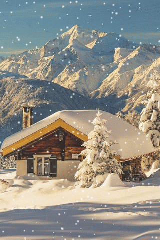 Winterzeit.. | Lustige Bilder, Sprüche, Witze, echt lustig