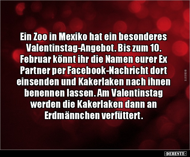 mexiko Witze und Sprüche DEBESTE.de